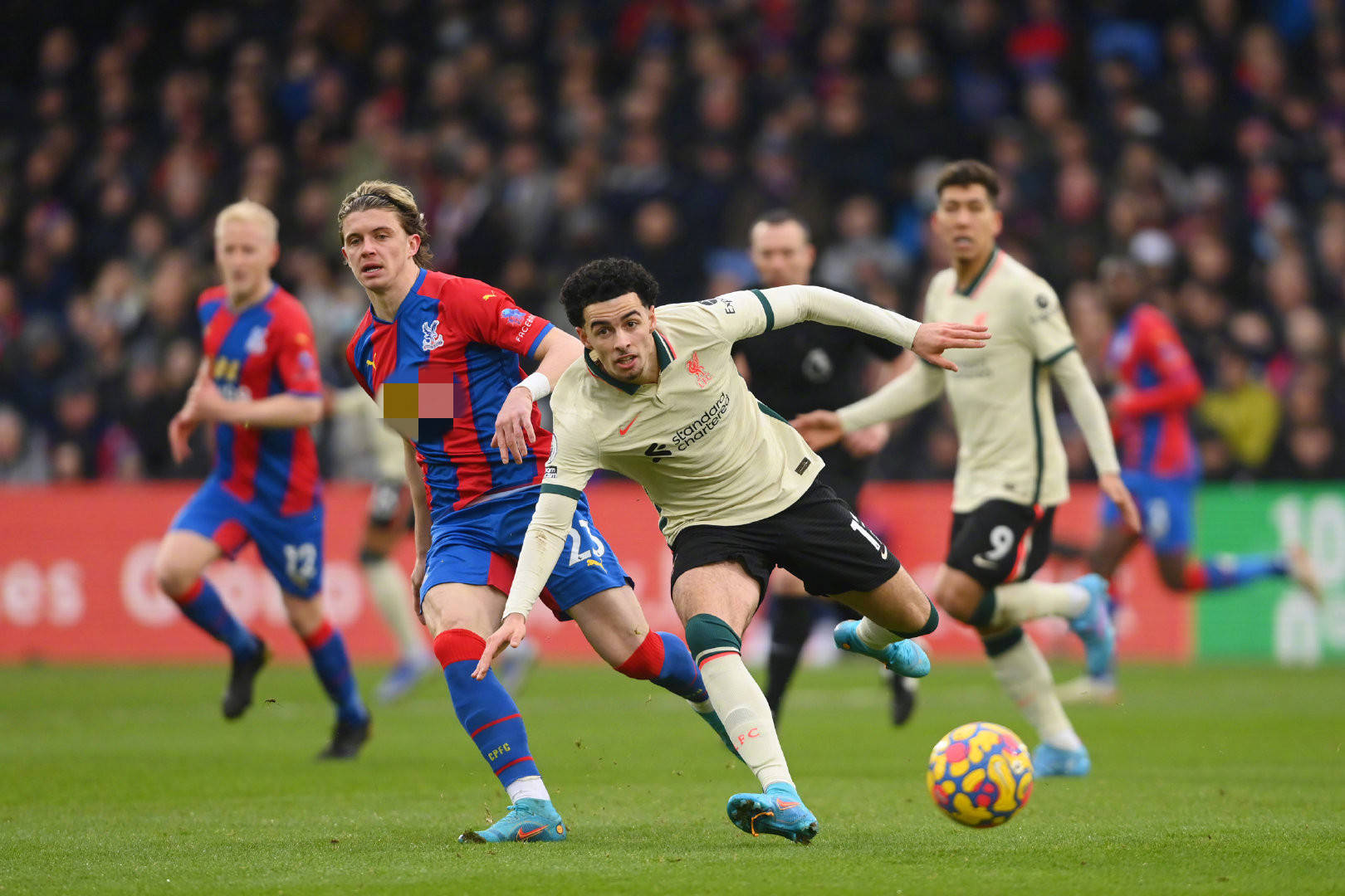 对年轻球员 对年轻球员